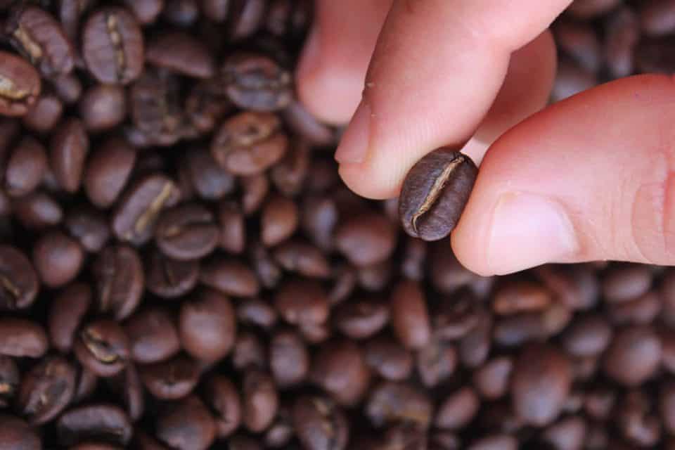 torrefazione del caffè