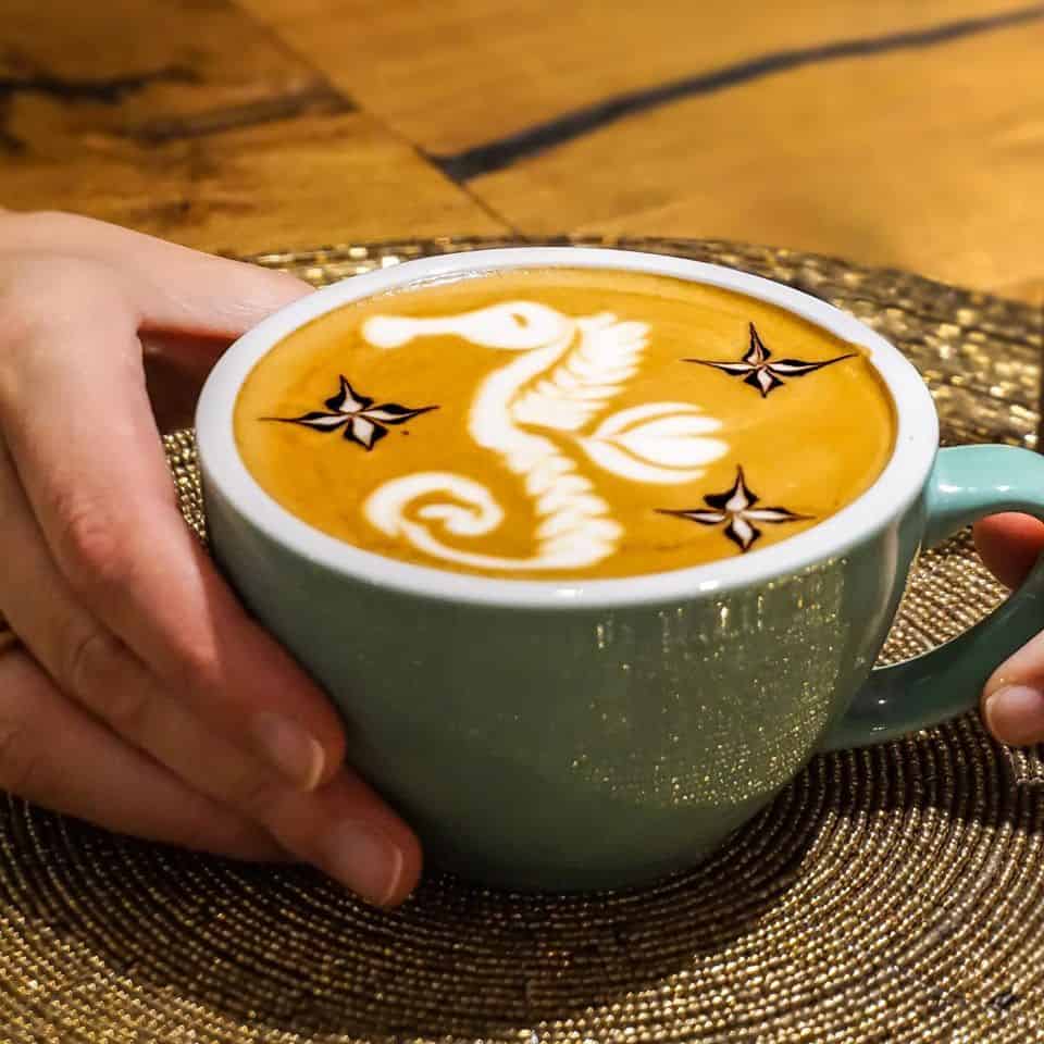 corso latte art cavalluccio corso latte art cavalluccio
